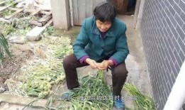 老头老太电梯活春视频,老夫妻的私密瞬间引发社会热议